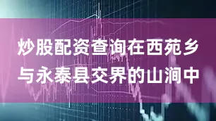 炒股配资查询在西苑乡与永泰县交界的山涧中