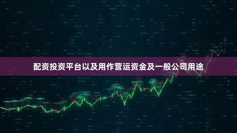 配资投资平台以及用作营运资金及一般公司用途