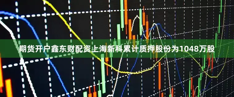 期货开户鑫东财配资上海新科累计质押股份为1048万股
